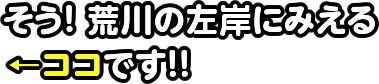 そう!荒川の川岸に見える←ココです!