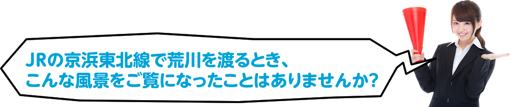 JRの京浜東北線で荒川を渡るとき、こんな風景をご覧になったことはありませんか?