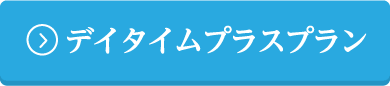 デイタイムプラスプラン