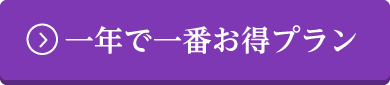 一年で一番お得プラン