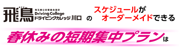 スケジュールがオーダーメイドできる春休みの短期集中プラン